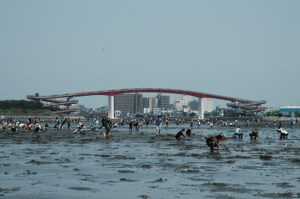 【朗報】潮干狩り！東京近郊の無料スポット！